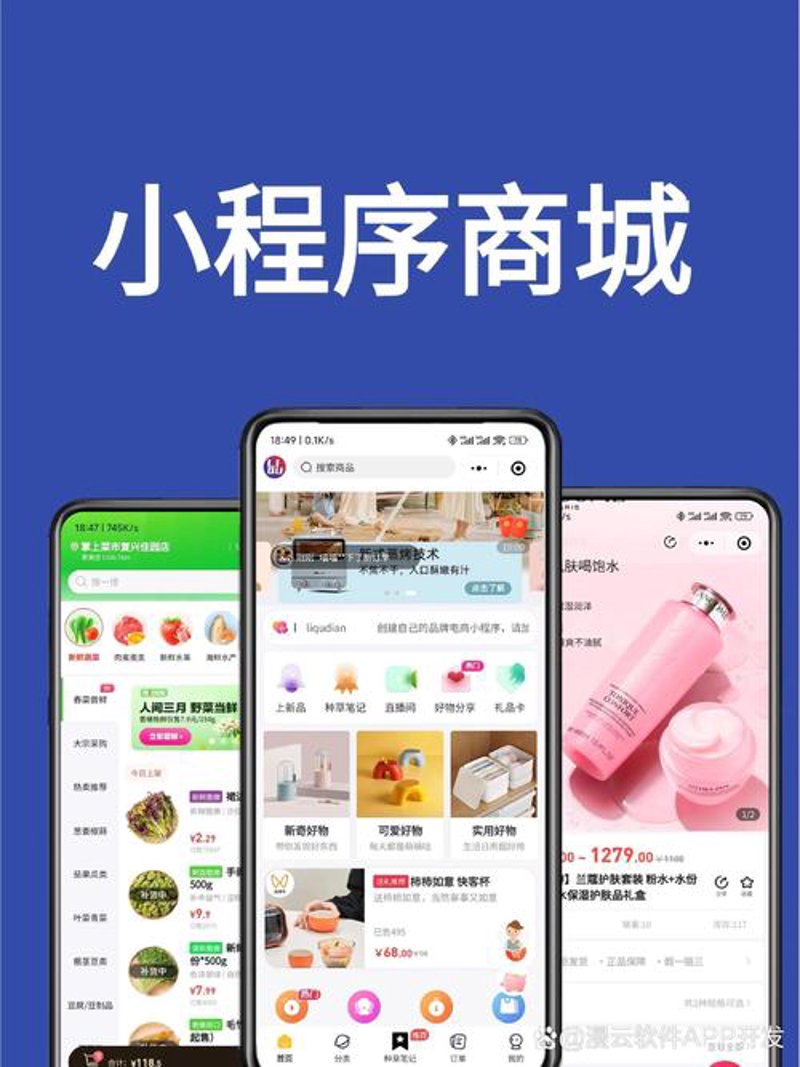 APP定制:打造属于你的移动信息时代窗口